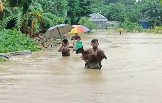 লক্ষ্মীপুরে ৭২ ঘণ্টায় নদী-সংলগ্ন নিম্নাঞ্চল প্লাবিত হওয়ার আশঙ্কা