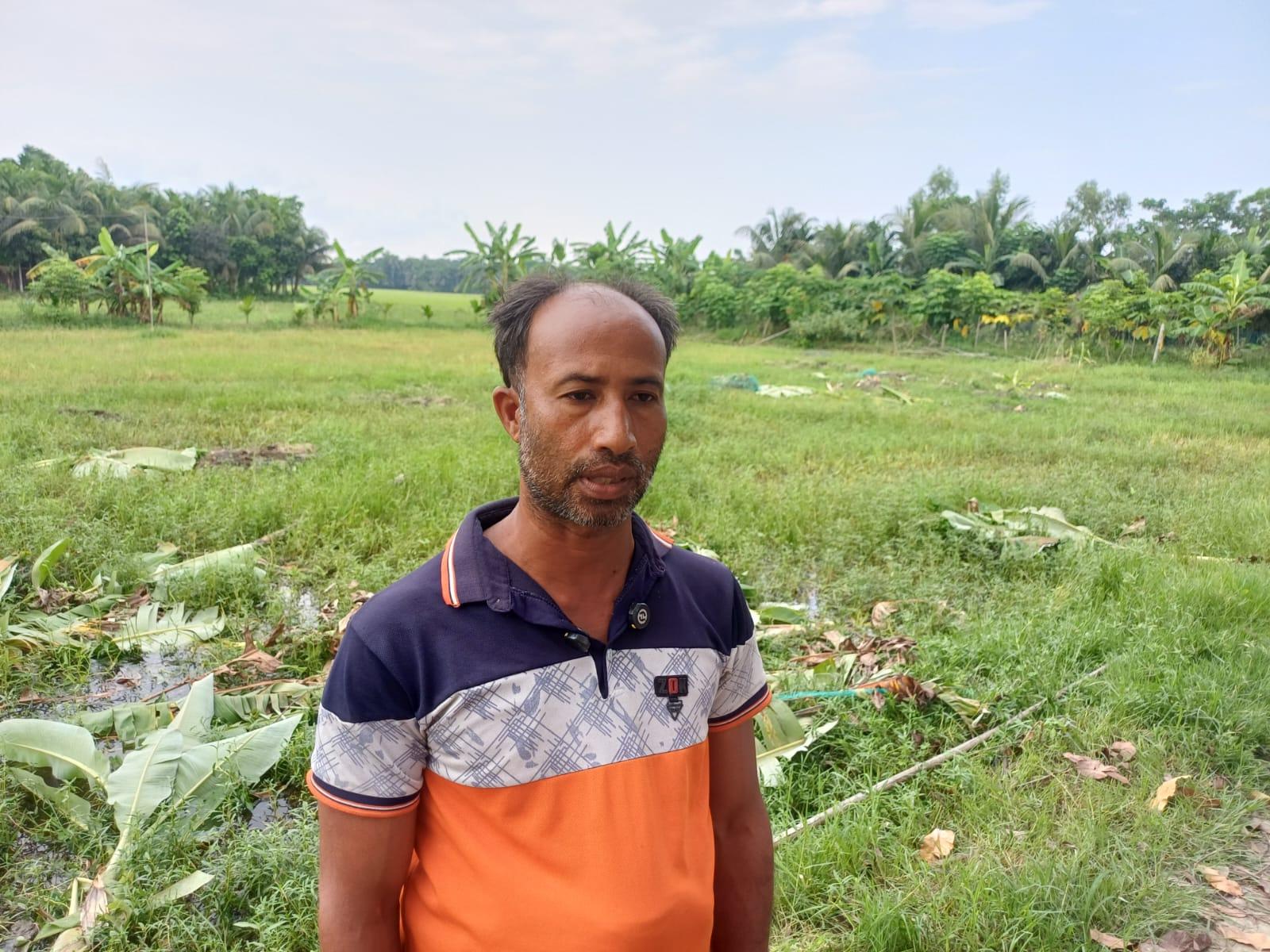 রায়পুরে কৃষকের দুই লাখ টাকার গাছ কেটে সাবাড়, বিএনপি নেতাসহ ৭ জনের বিরুদ্ধে অভিযোগ