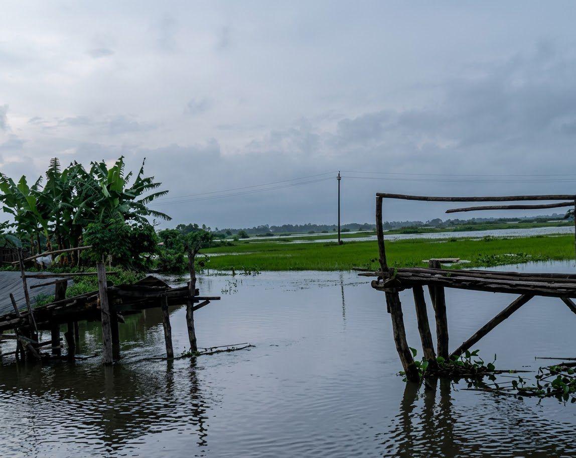 সংযুক্ত ছবি